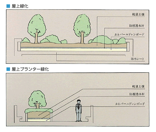 屋上緑化